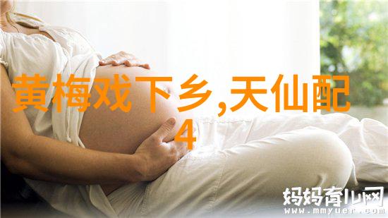 全国黄梅戏作曲人才培训班召开结项专家研讨会