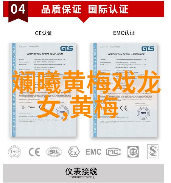 合肥新添10家黄梅戏传承教学基地